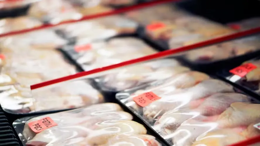 Exportações de carne de frango cresceram 3,7% em setembro