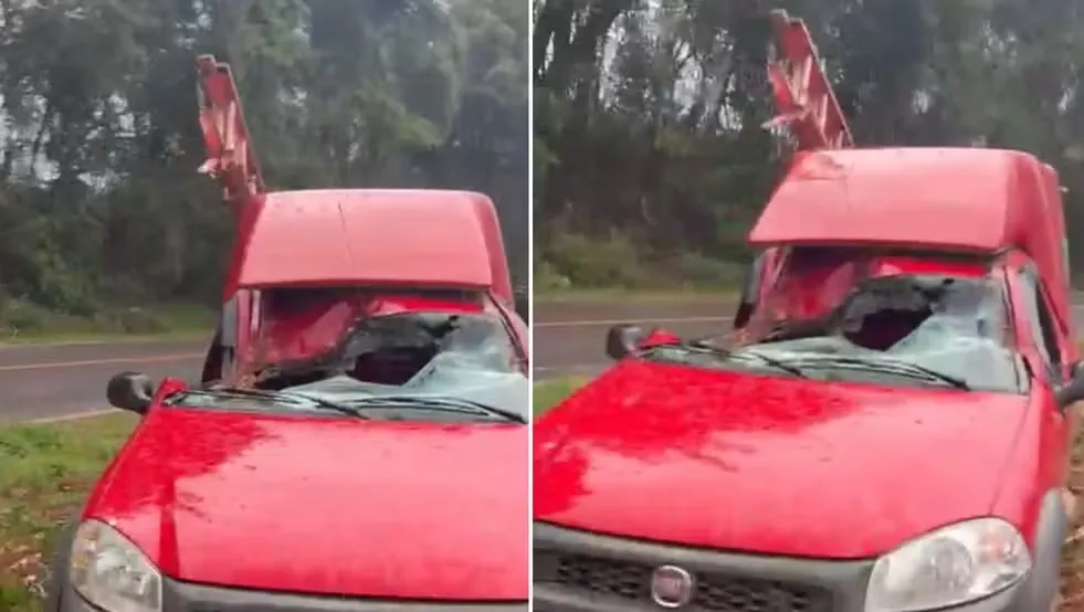 Passageiro de carro sobrevive após árvore cair em cima do banco dele durante tempestade no Paraná