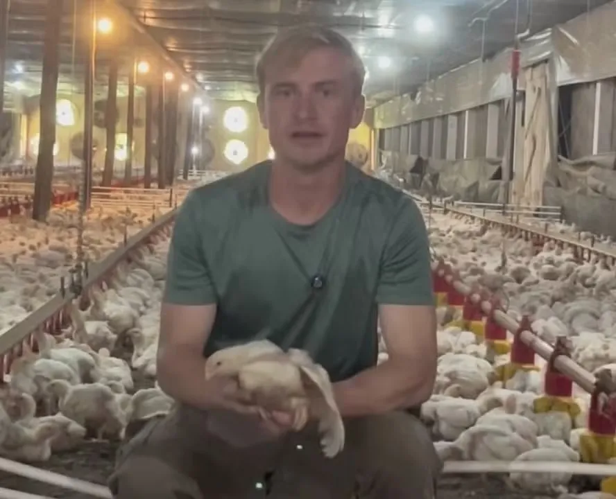 'Especialista em pintos': avicultor viraliza com vídeos de humor sobre rotina de trabalho em granja