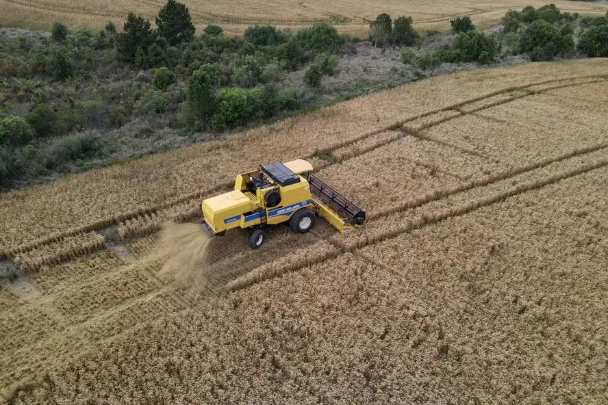 Chuvas afetam plantio de soja e colheita de trigo no Paraná