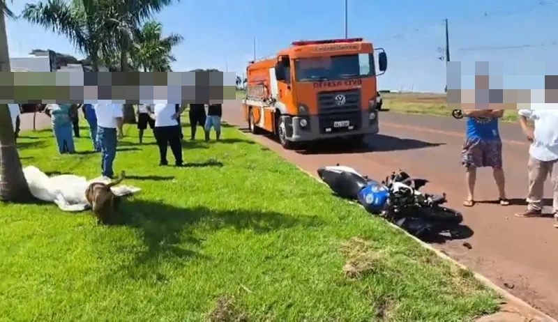 Motociclista morre ap&oacute;s acidente na PR-574, em Cafel&acirc;ndia