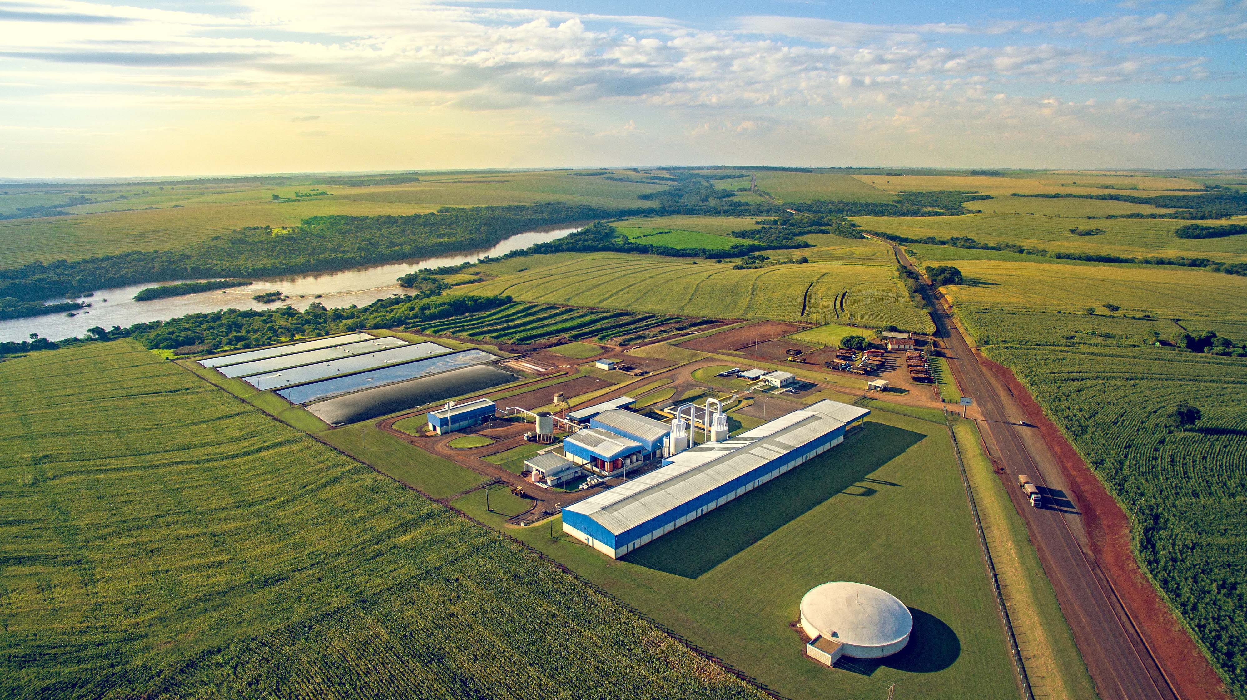 C.Vale amplia recebimento de raiz de mandioca