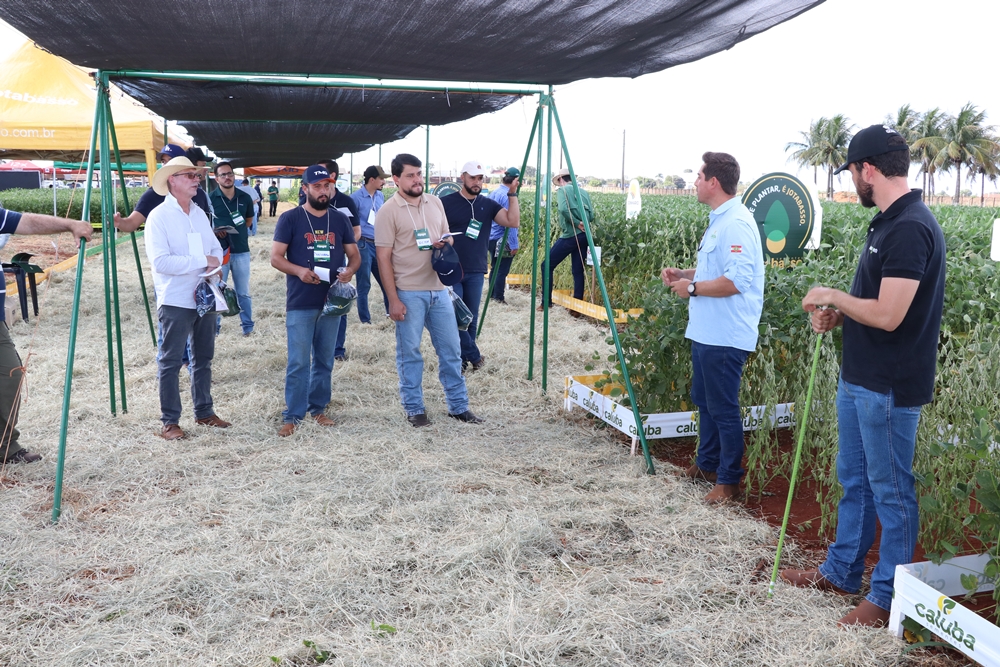 Dias de Campo da Copagril fortalecem transfer&ecirc;ncia de tecnologia no Paran&aacute; e no Mato Grosso do Sul