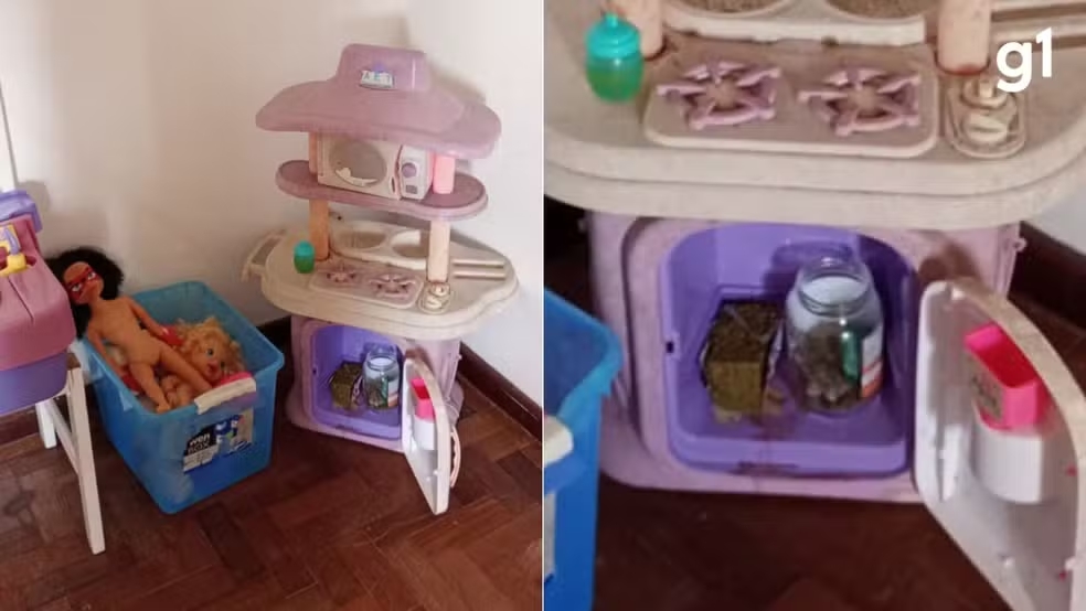Casal &eacute; preso com maconha escondida dentro de casinha de boneca da filha de 9 anos no RS