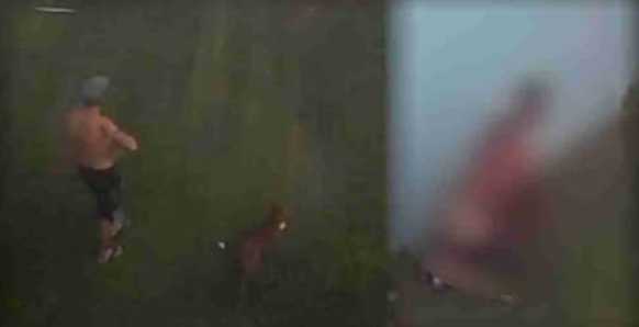 Homem &eacute; preso por abuso sexual contra cachorro no Paran&aacute;