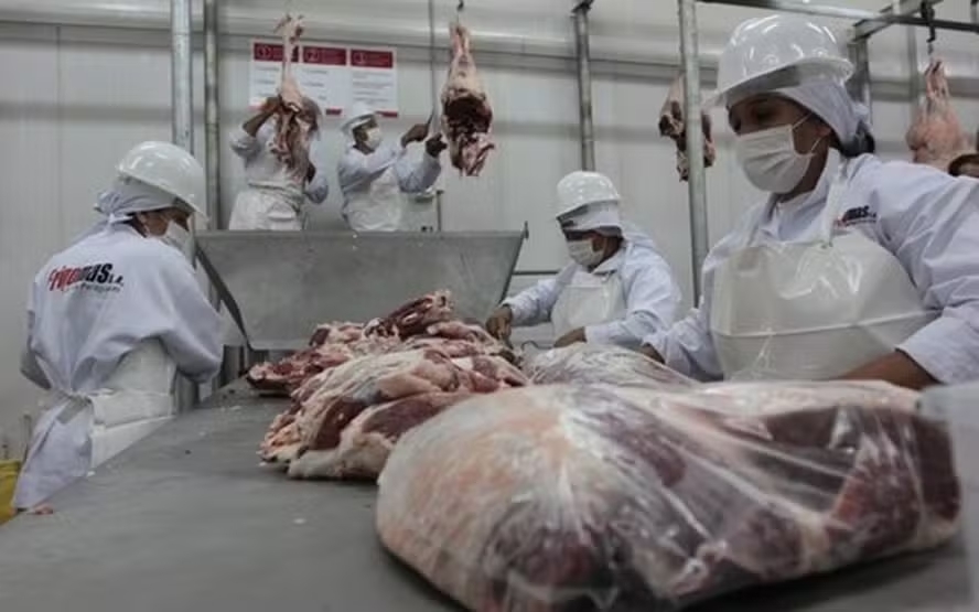 Ap&oacute;s crescimento, carne bovina deve enfrentar 'teste sutil' em 2026, segundo frigor&iacute;ficos