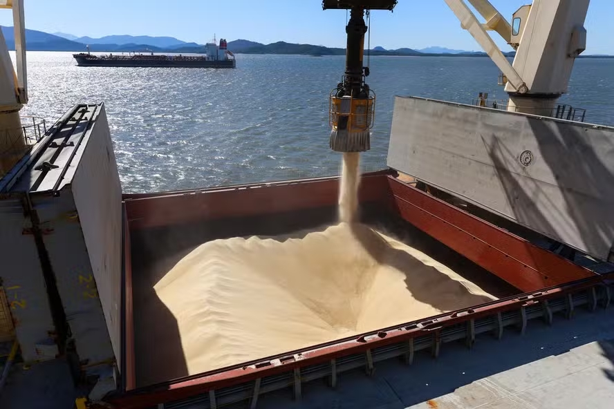 Pre&ccedil;o da soja j&aacute; acumula queda de 8% no porto de Paranagu&aacute;