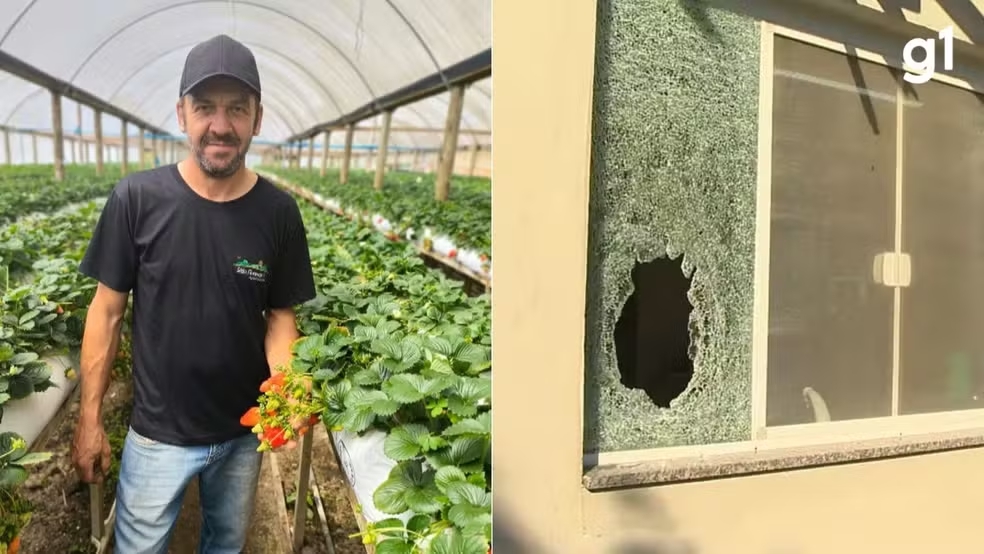 Pol&iacute;cia do Paran&aacute; diz que informa&ccedil;&otilde;es que levaram a fazenda onde agricultor foi morto por engano pela PM do RS vieram de suspeitos presos em Gua&iacute;ra