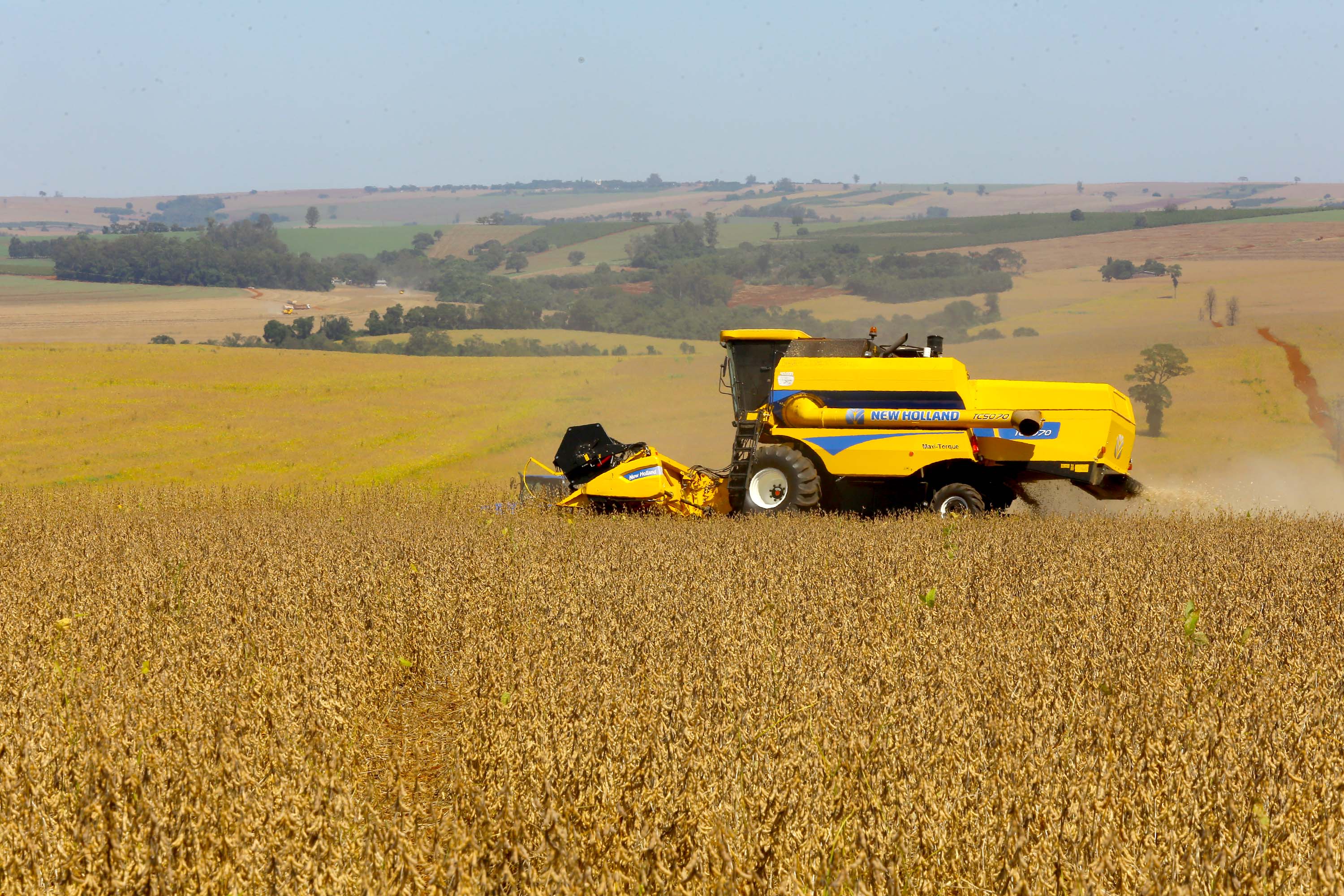 Safra de Soja do Paran&aacute; se aproxima do recorde e refor&ccedil;a otimismo, aponta Deral