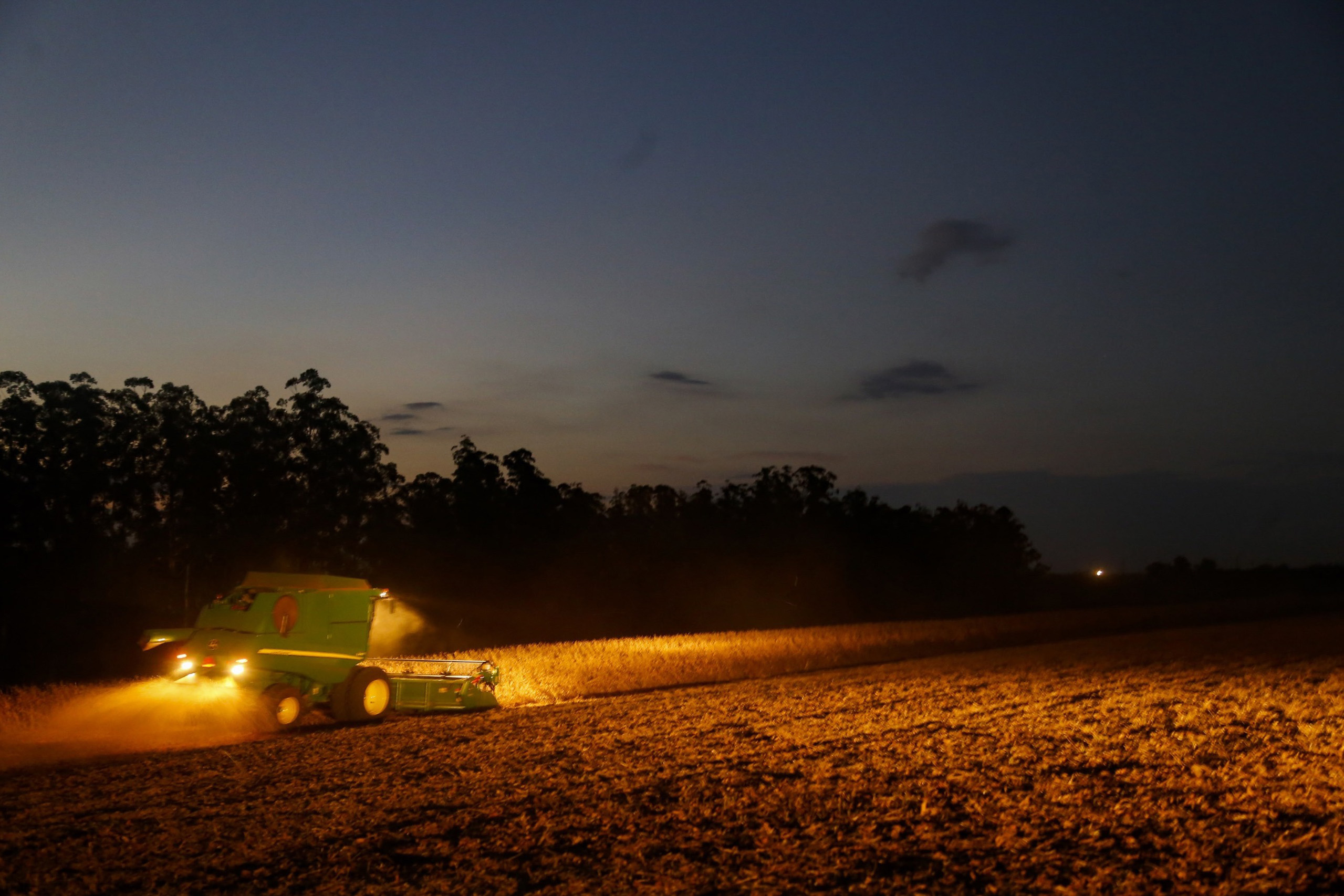 Portaria do Paran&aacute; amplia per&iacute;odo de plantio da soja para produ&ccedil;&atilde;o de sementes