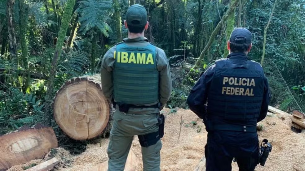Ind&iacute;gena &eacute; condenado por desmatar &aacute;rea protegida equivalente a 16 campos de futebol, no Paran&aacute;