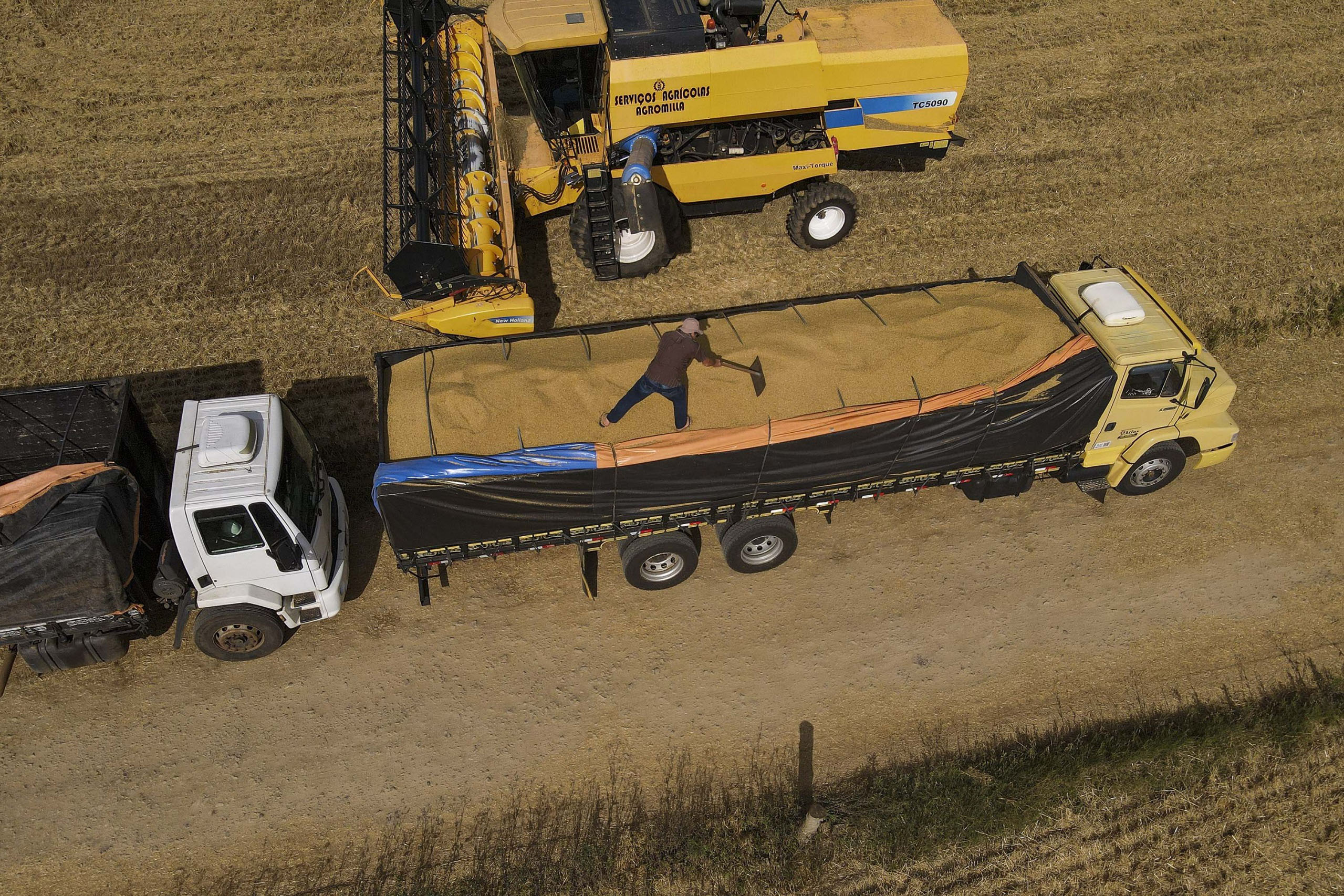 Paran&aacute; tem maior aumento do Pa&iacute;s na estimativa de produ&ccedil;&atilde;o de gr&atilde;os em novembro