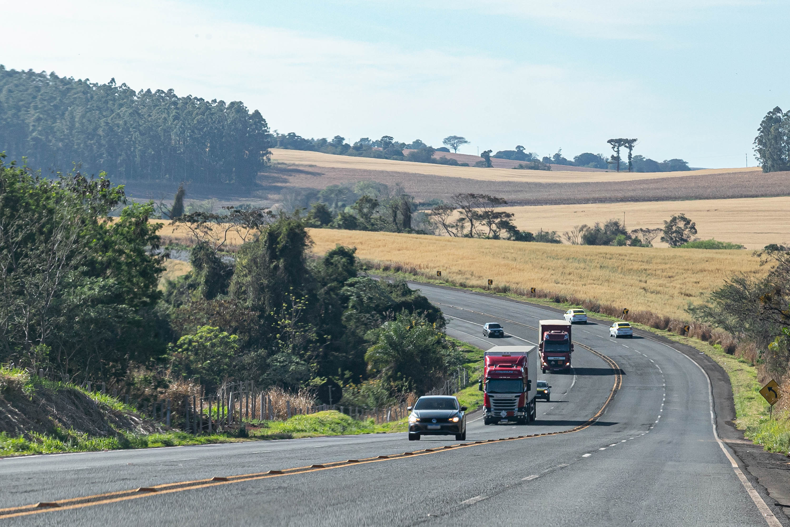 Estado mant&eacute;m desconto de 6% do pagamento &agrave; vista e IPVA 2026 pode cair pela metade