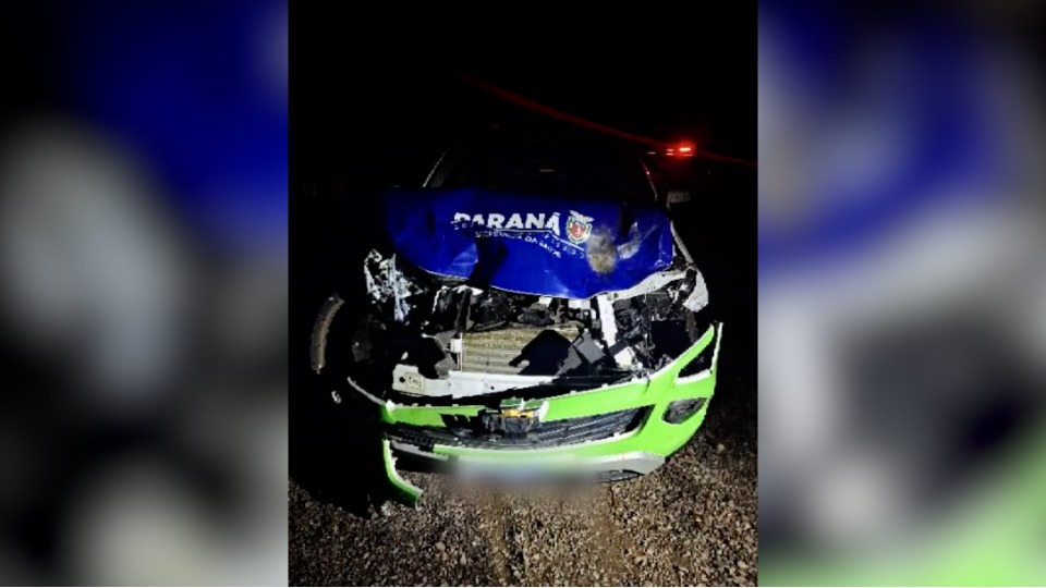 Carro da Prefeitura de Santa Helena atinge bovinos na PR-488, em Santa Helena
