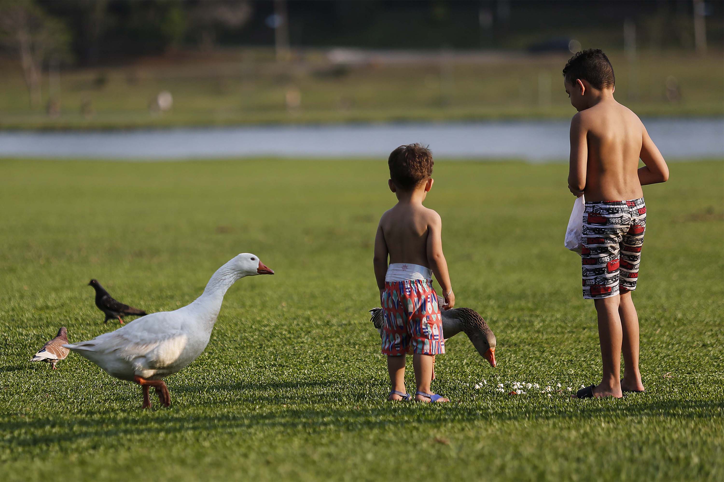 Simepar prev&ecirc; temperaturas altas no fim de semana, com chuva no domingo