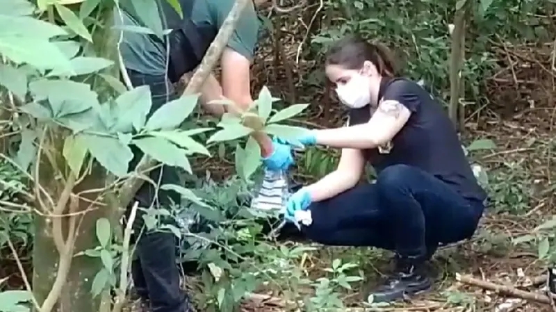 Corpo &eacute; encontrado embalado em &aacute;rea de mata na regi&atilde;o da Perimetral Leste, em Foz do Igua&ccedil;u