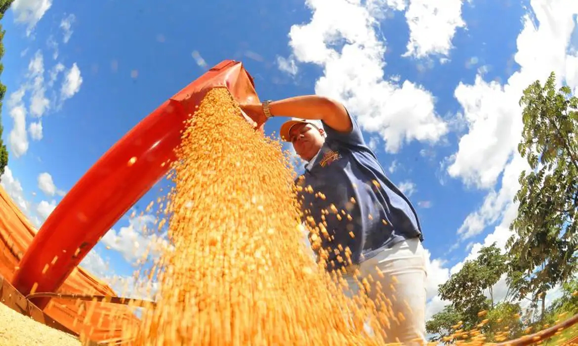 Agro registra super&aacute;vit de US$ 13 bi; maior valor para outubro