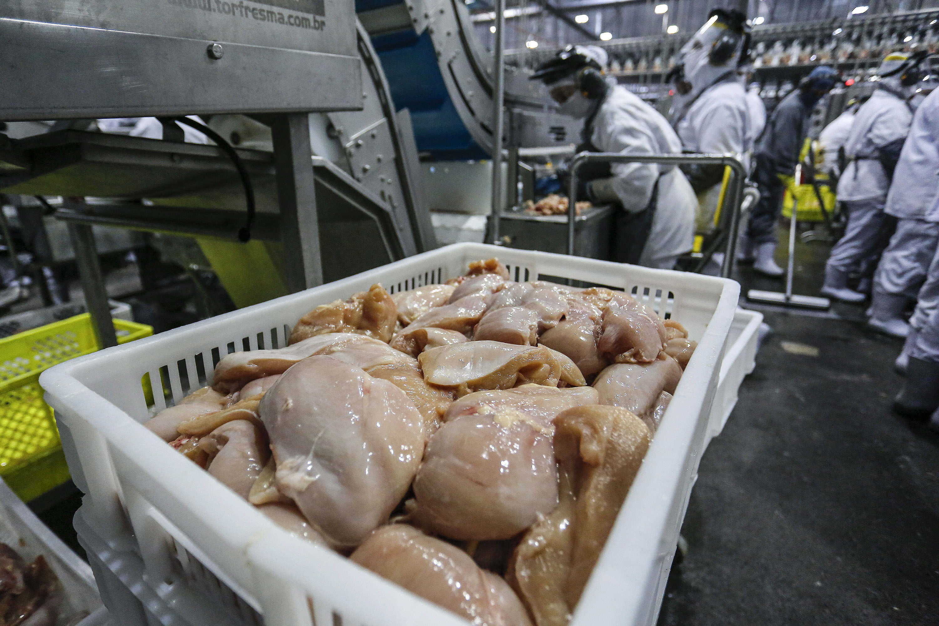 FRANGO/CEPEA: Como j&aacute; esperado, volume exportado em outubro &eacute; 2&ordm; maior da hist&oacute;ria