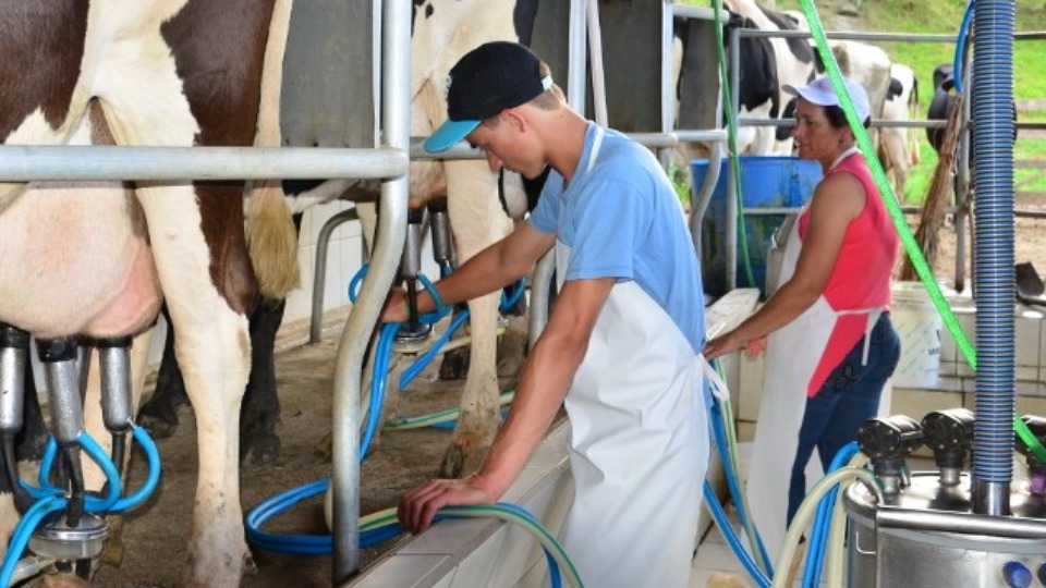 Crise do leite se agrava no Paran&aacute; e Sistema FAEP alerta: pre&ccedil;o pago ao produtor n&atilde;o cobre custo de produ&ccedil;&atilde;o