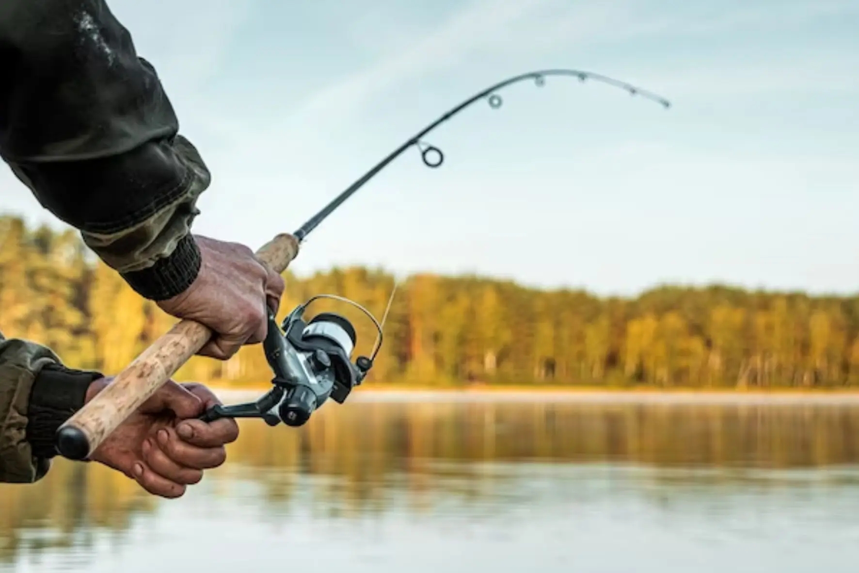 Per&iacute;odo de defeso da piracema no Paran&aacute; come&ccedil;a neste s&aacute;bado (01)