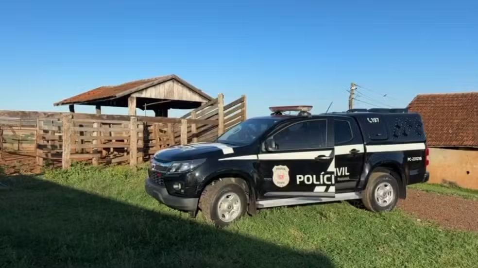 Grupo 'altamente organizado' para furto de gado &eacute; descoberto no Paran&aacute;, diz pol&iacute;cia