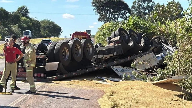 Caminh&atilde;o capota na BR-163 e motorista &eacute; atacado por abelhas