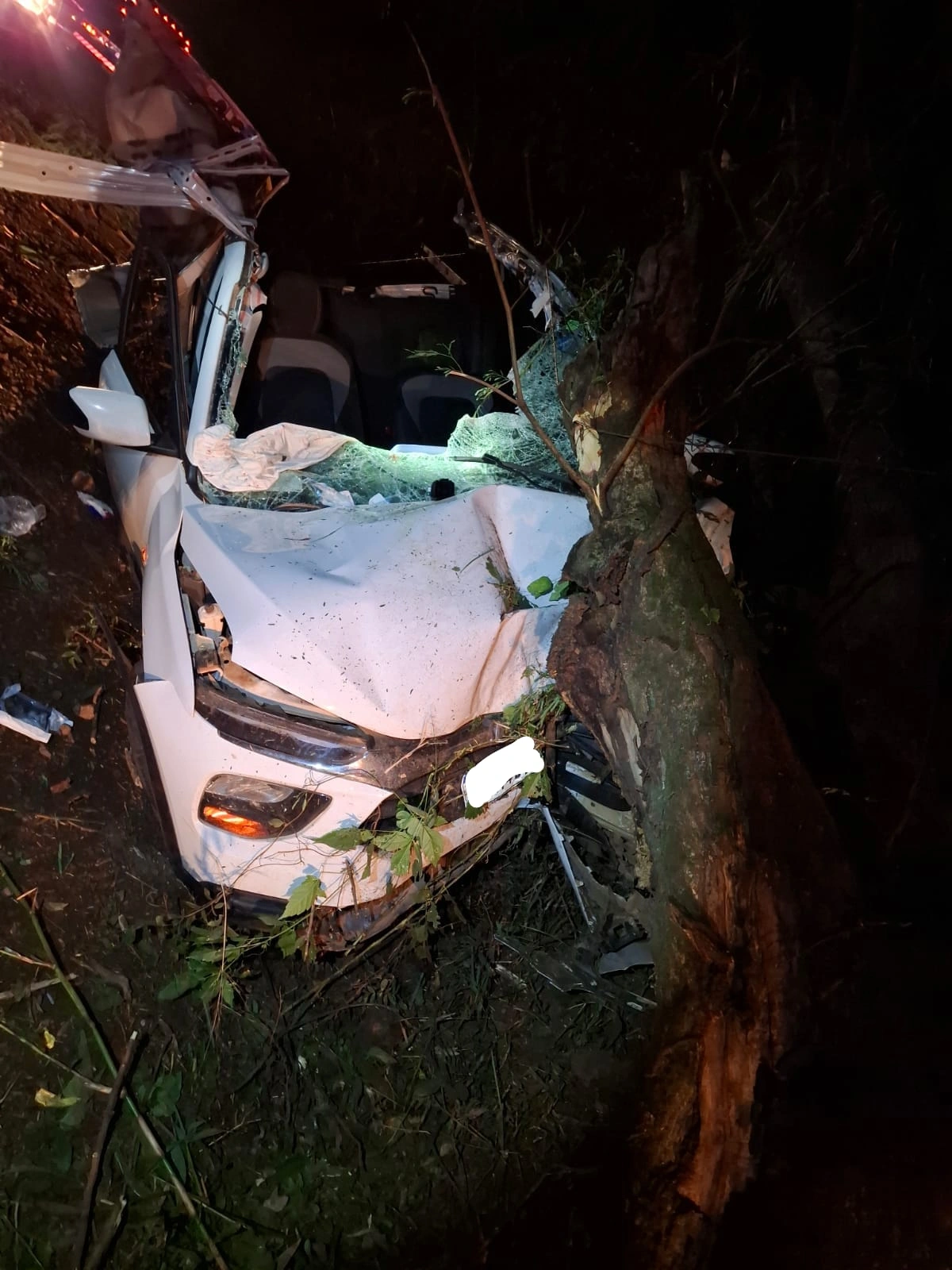 Motorista de 25 anos morre ap&oacute;s acidente na PR-495 em Missal