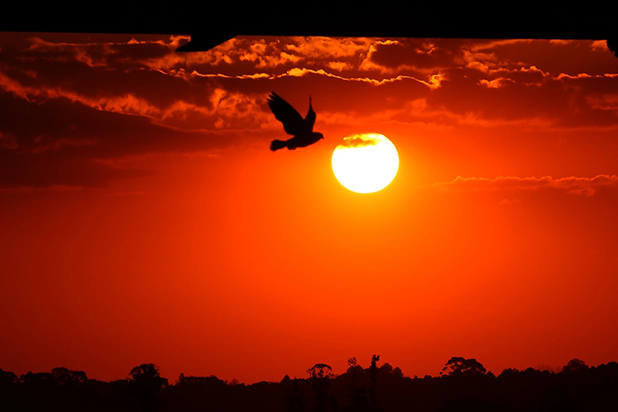 Com La Ni&ntilde;a, ver&atilde;o 2025/2026 foi marcado por chuvas irregulares e temperatura de 39,7&deg;C