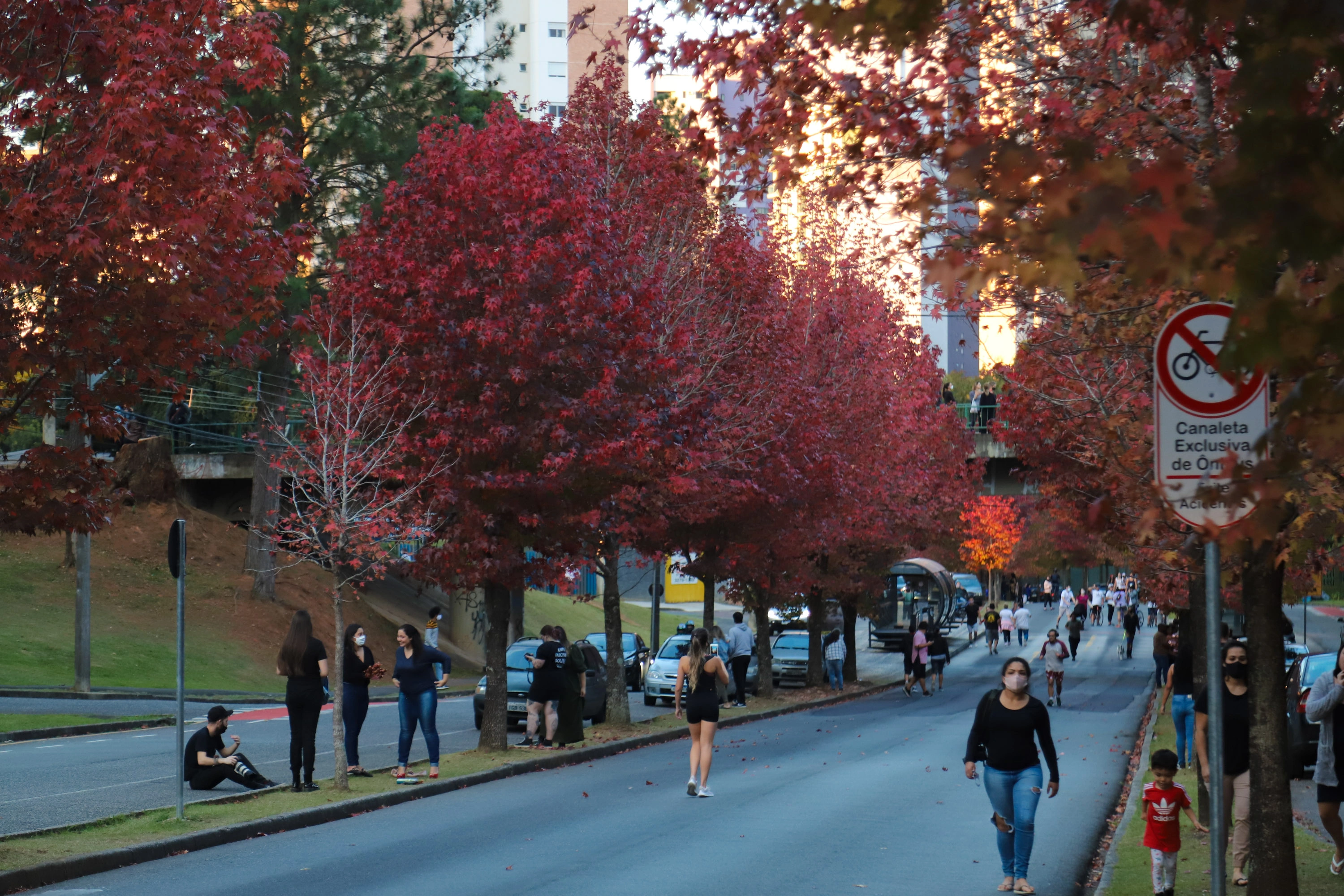 Outono come&ccedil;a na sexta com chuva acima da m&eacute;dia e mais dias com amplitude t&eacute;rmica