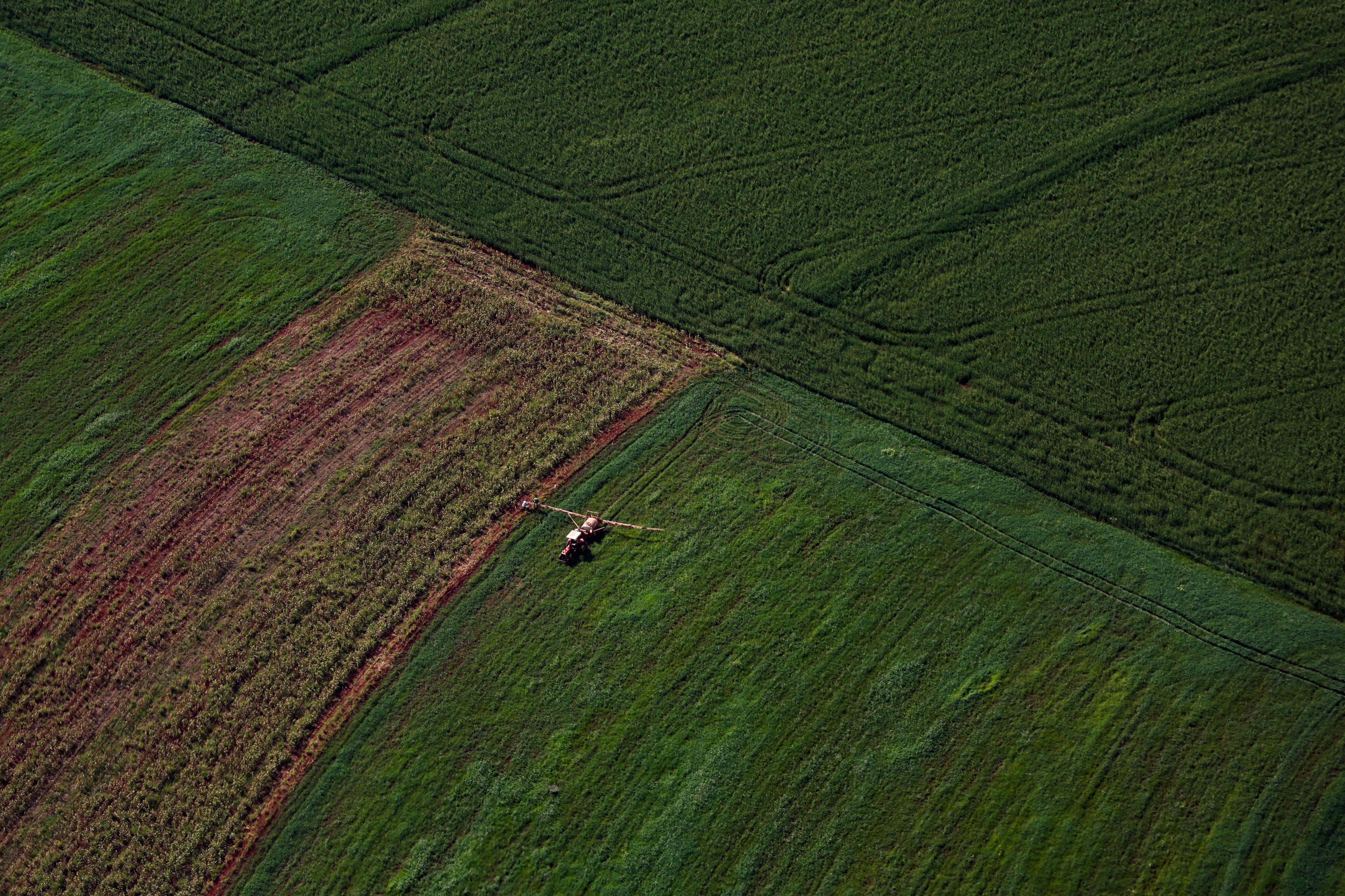 Supermercado do mundo: Paran&aacute; expande produ&ccedil;&atilde;o agropecu&aacute;ria entre 2018 e 2025