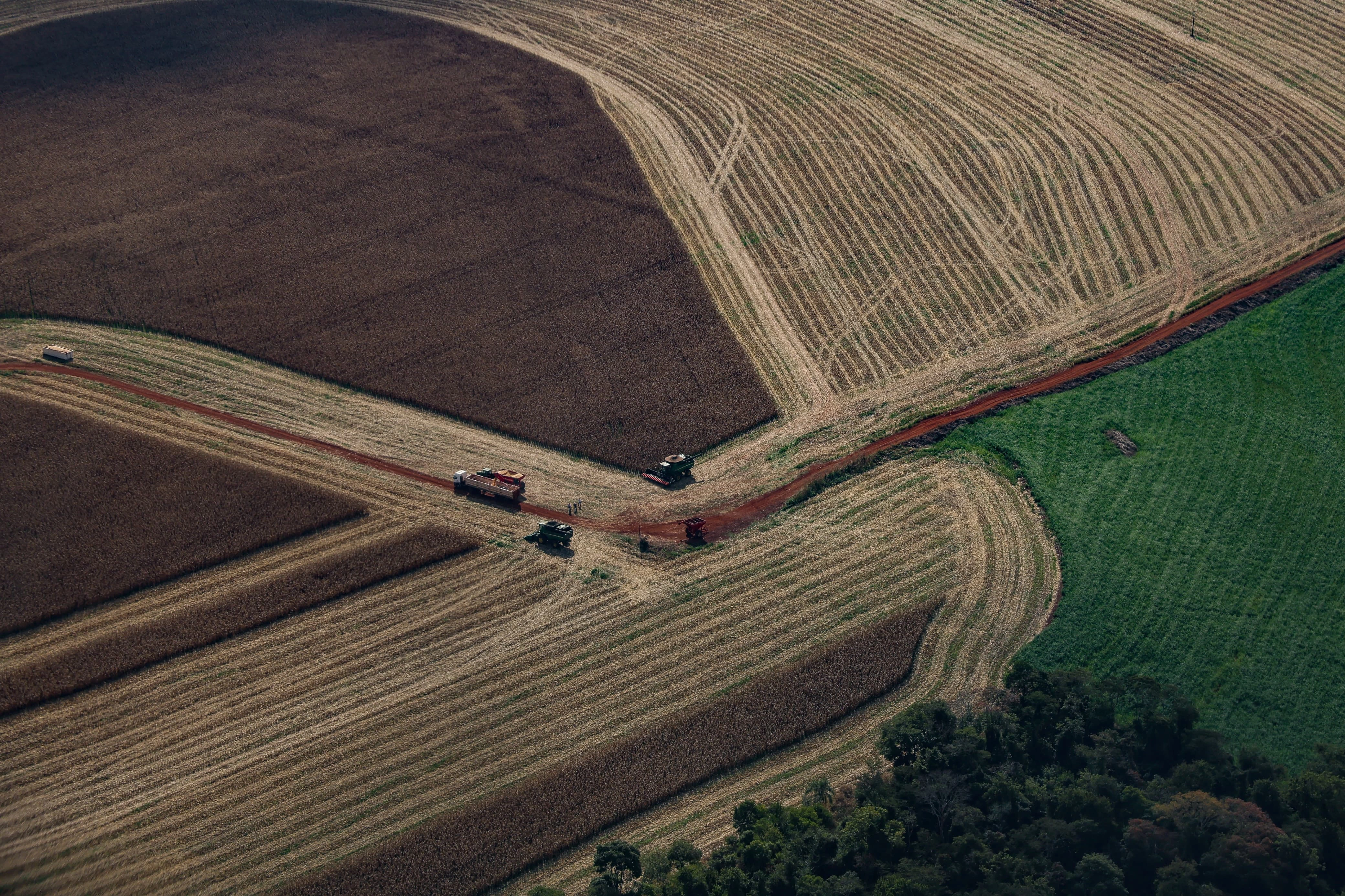 PIB do Paran&aacute; cresce 22% acima da m&eacute;dia nacional em 2025