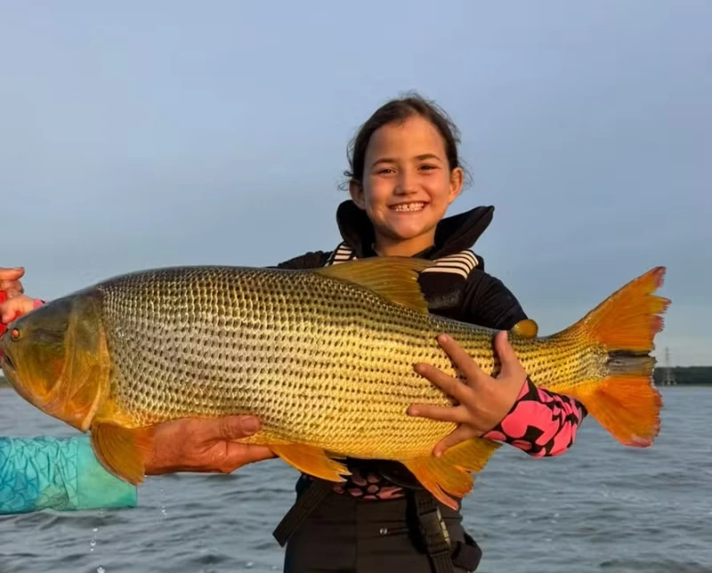 Menina de sete anos quebra o pr&oacute;prio recorde ao pescar dourado de 81 cent&iacute;metros