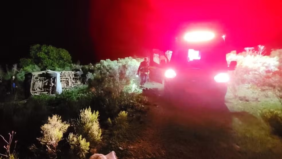 Pai tenta socorrer filha que bateu carro contra caixa de abelhas, mas ambos morrem após ataque de enxame no RS