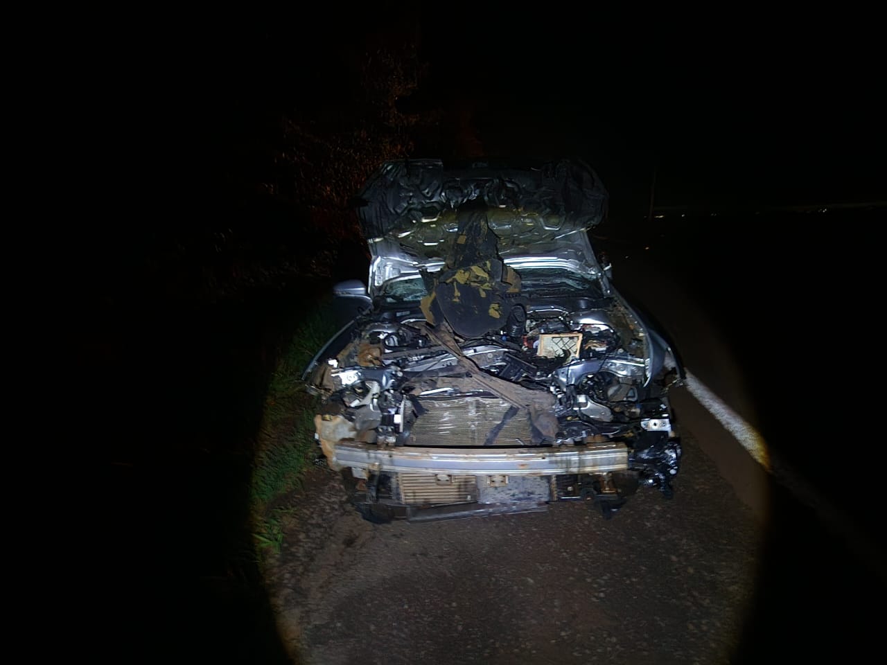 Bovino solto provoca acidente na PR-182 em Maripá