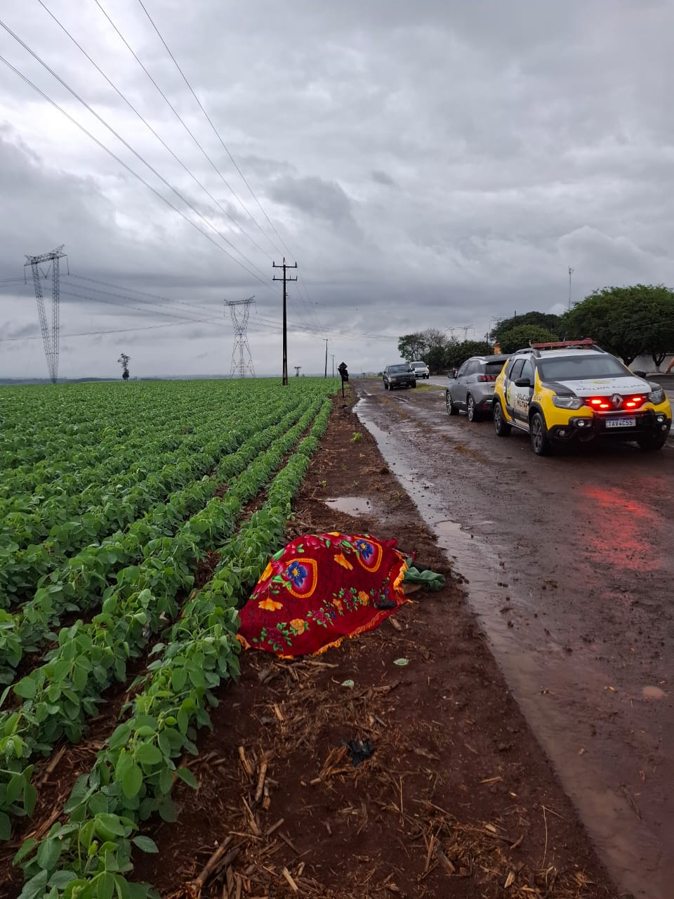 Idoso morre atropelado na PR-585, em São Pedro do Iguaçu