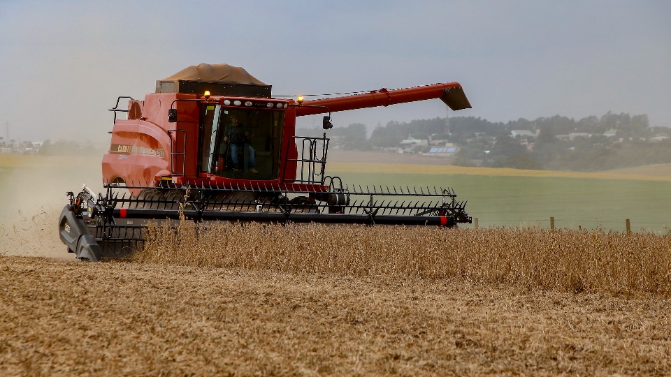 Chuvas do início de novembro provocam adaptações na agricultura paranaense