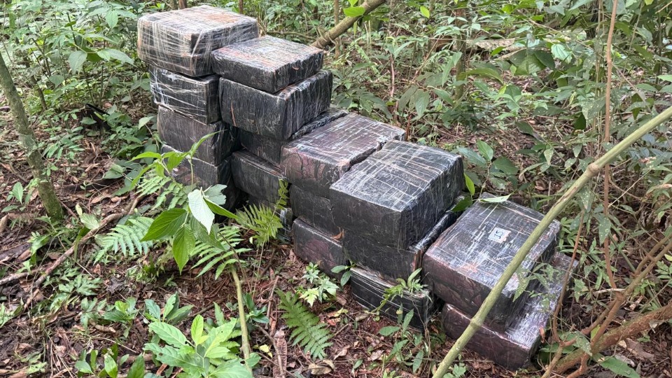 Homem é preso e quase 1 tonelada de maconha é apreendida em Itaipulândia