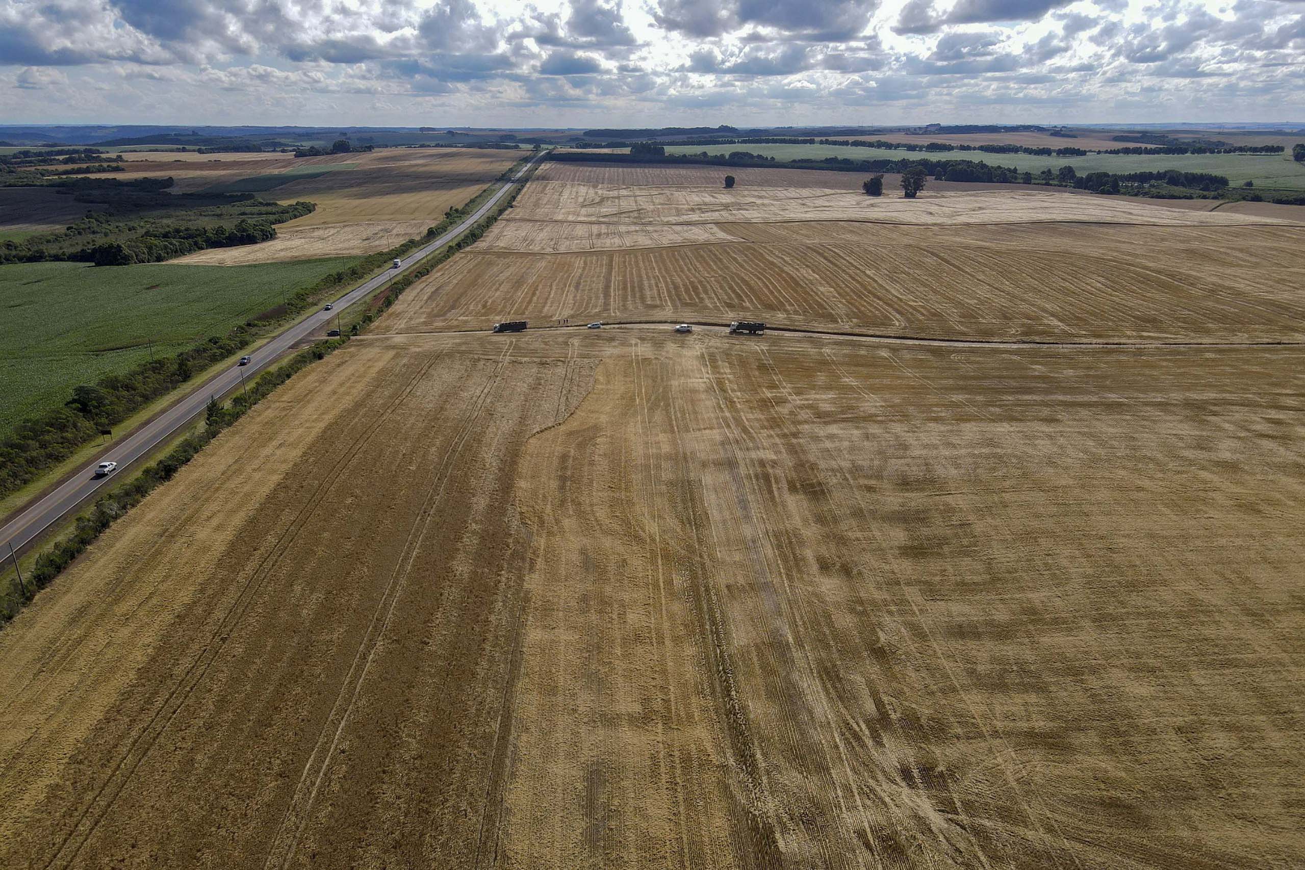 Com 46,8 milhões de toneladas, Paraná teve maior safra de grãos de sua história em 24/25