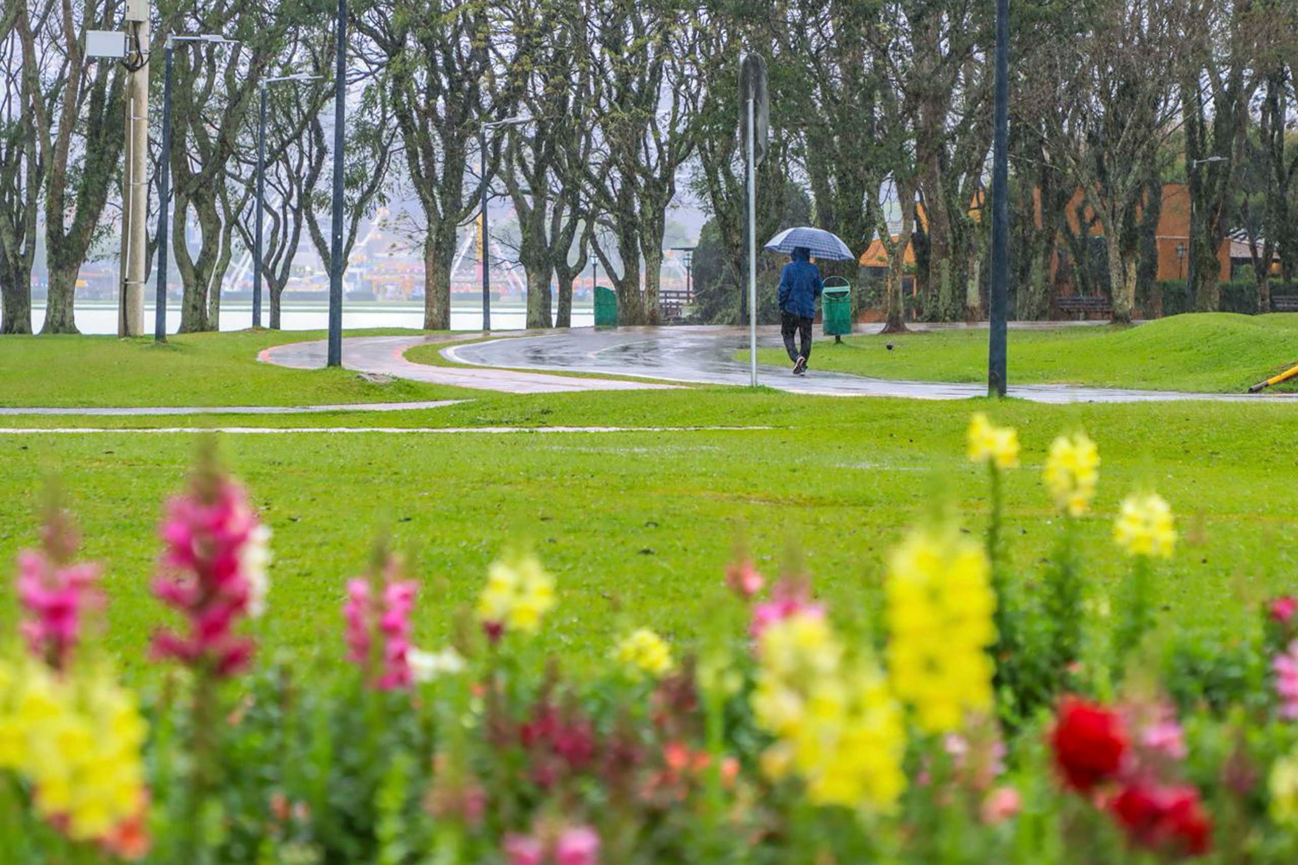 Novembro é marcado por três tornados e chuva acima da média no Paraná