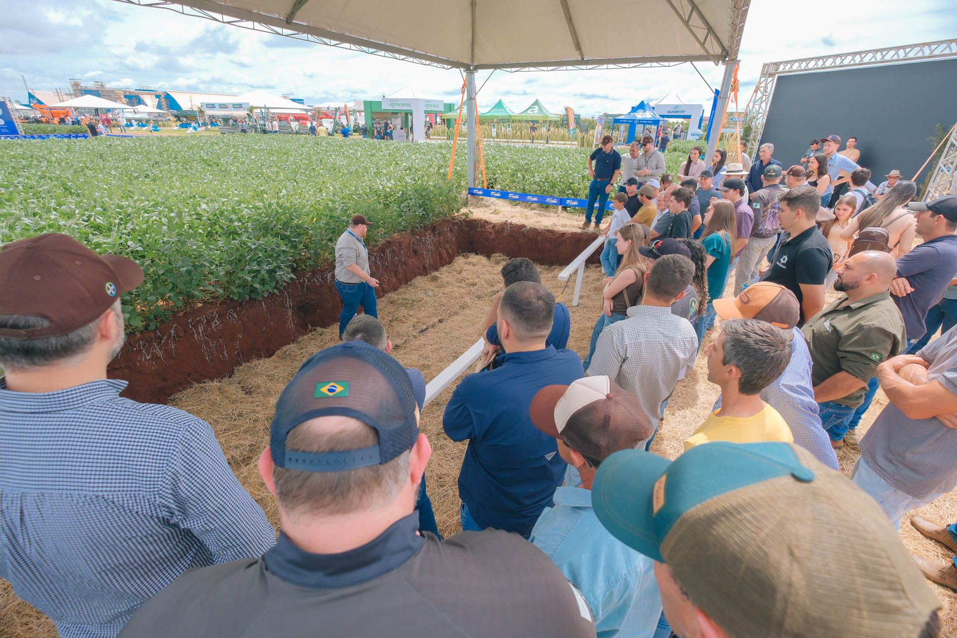 Promoção atrai visitantes ao Dia de Campo de primavera da C.Vale