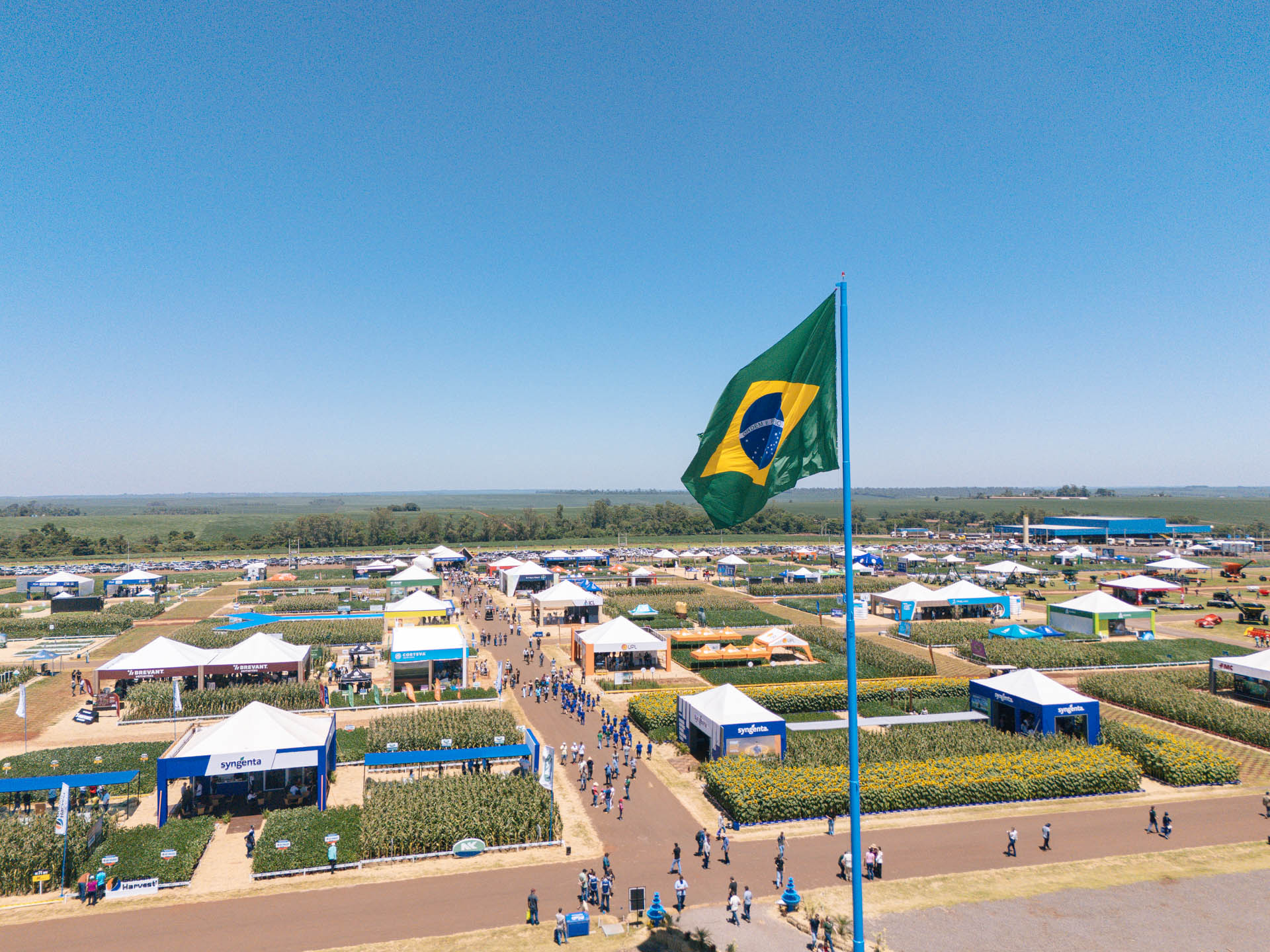 dia de campo público (1).jpg