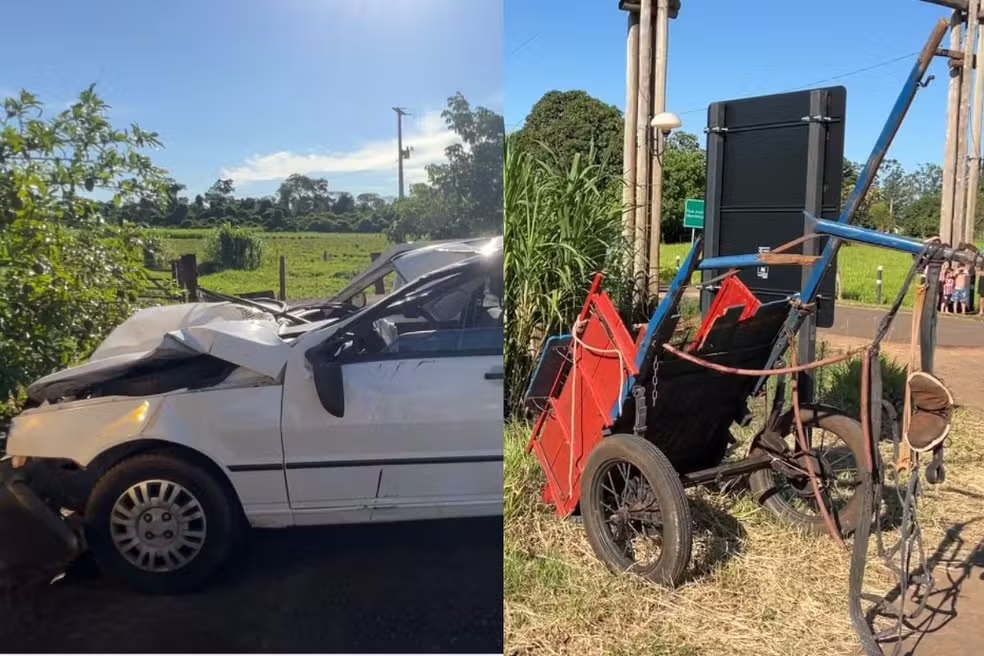 Carro bate em carroça na rodovia, cavalo morre e três pessoas feridas, no PR