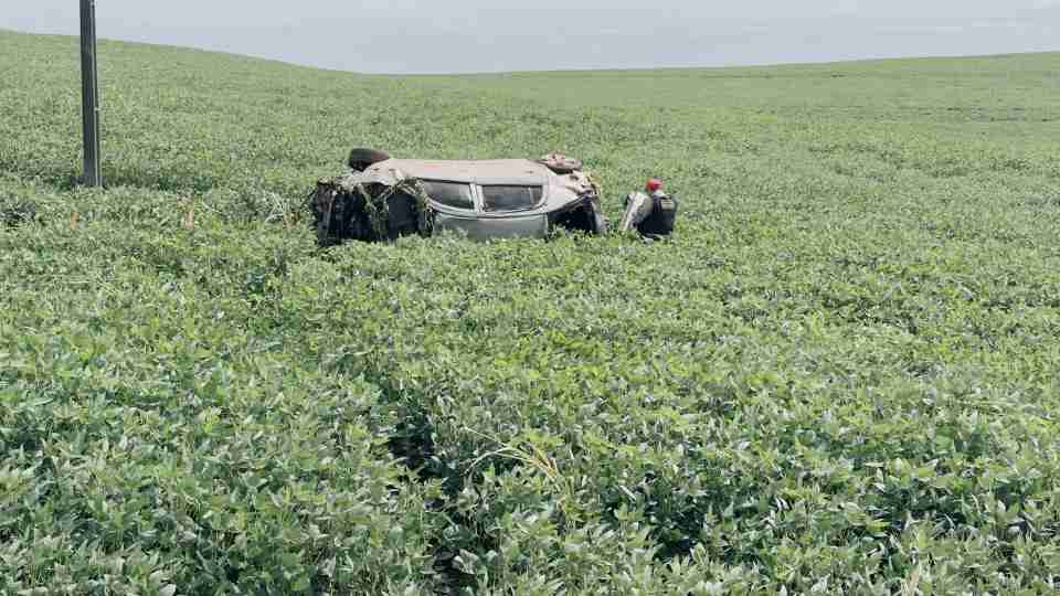 Homem morre em capotamento na PR-082, interior do Paraná