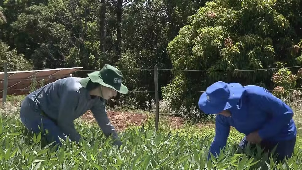 Paraná é o segundo estado com mais diagnósticos de câncer de pele no Brasil