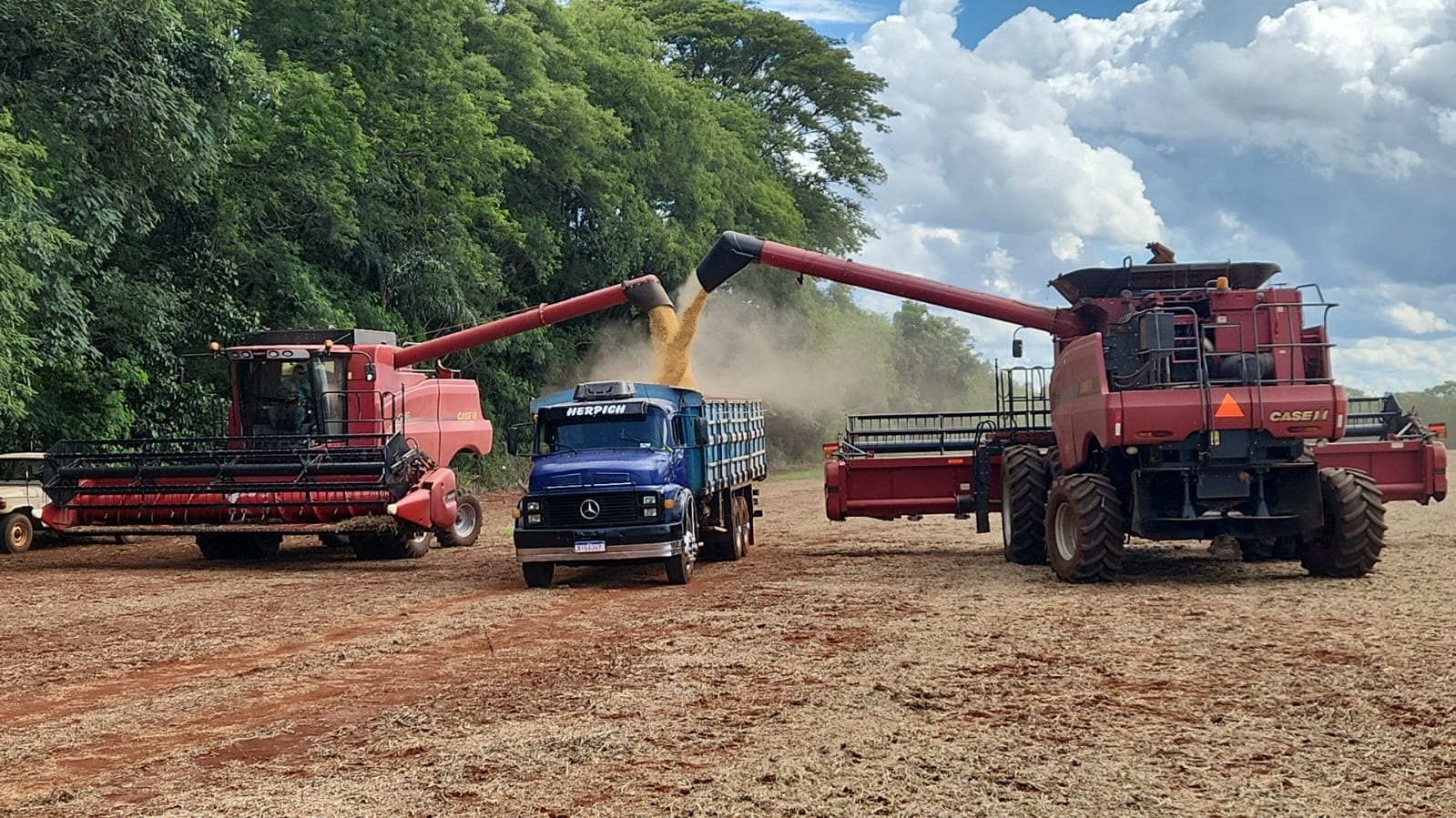 Copagril recebe primeira soja da safra 2025/2026 em dezembro e marca início antecipado da colheita no Oeste do Paraná