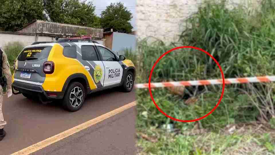 Homem é encontrado decapitado na marginal da BR-277, em Cascavel