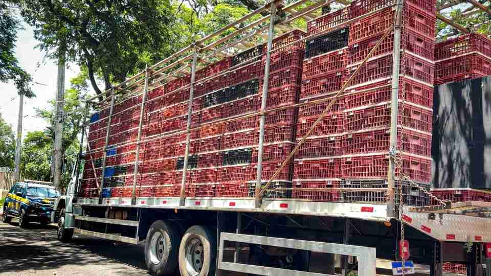 PRF apreende quase duas toneladas de maconha no interior do PR