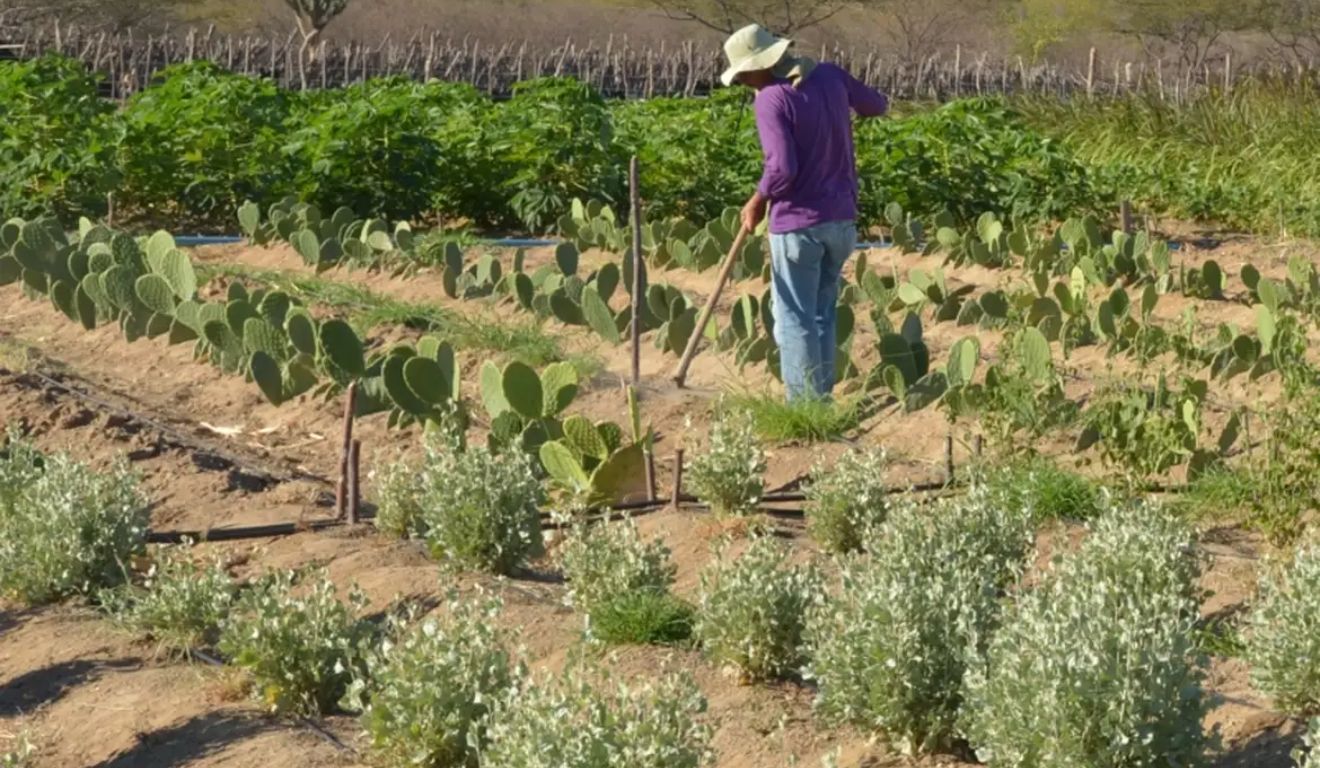 Acordo encerra conflito fundiário de 30 anos no Oeste do Paraná
