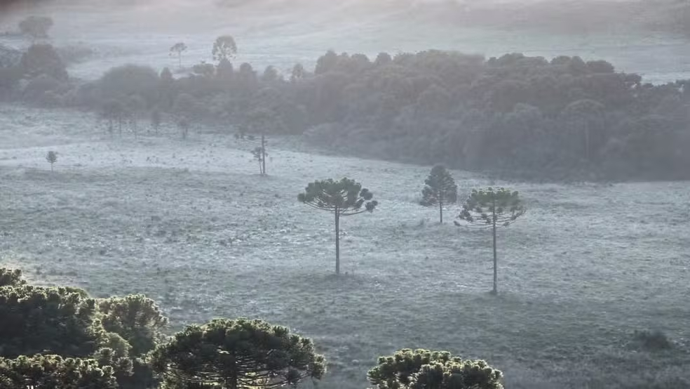 Geada e baixas temperaturas formam 'dia de inverno' em pleno verão na Serra de SC