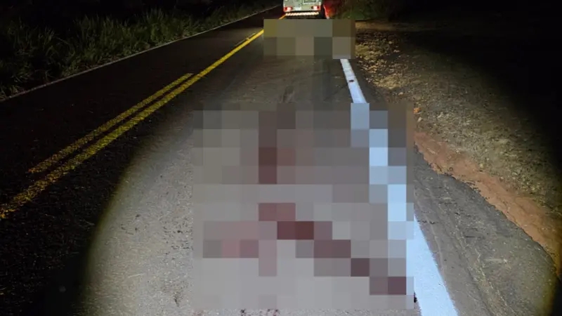 Pedestre morre ao ser atropelado na PR-486, em Moreira Sales